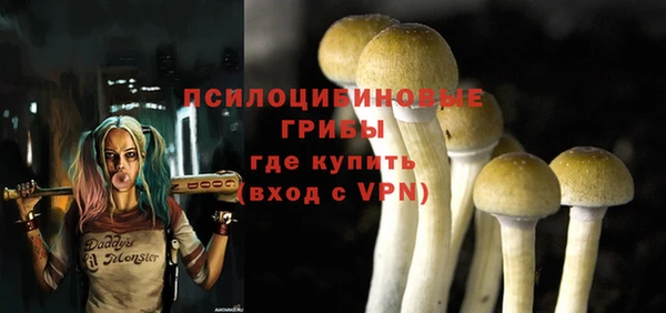 mdpv Балахна